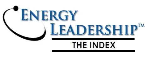 Energy Leadership Index Master Practitioner certification